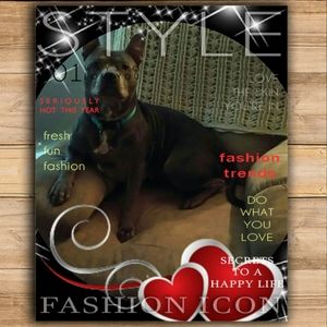 Meet your Posher, Pamela